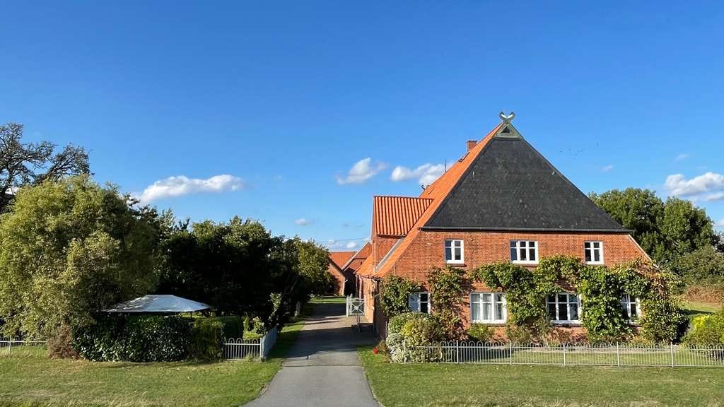 Immobilie in Amt Neuhaus - Elbtalaue: Gepflegter Resthof in direkter Deichlage mit Elbblick - Bild 0