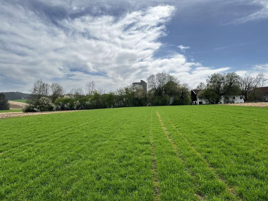 Immobilie in Mitterskirchen - Ruhige Hofstelle in Ortsrandlage mit vielfältigen Nutzungsmöglichkeiten - Bild 1
