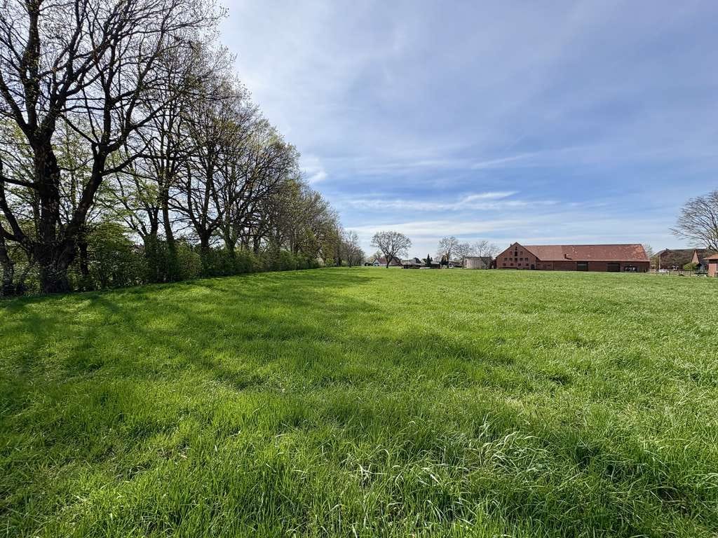 Immobilie in Minden - Pferdelieber aufgepasst - Hofstelle mit 2,4 ha Grundstück und Weideflächen in Minden-Aminghausen - Bild 3
