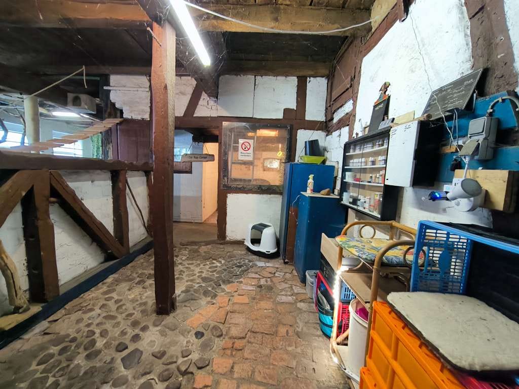Immobilie in Lemgow - Ein Zuhause fürs Leben: Romantischer Resthof für Generationen & Tierliebhaber im Wendland - Bild 4
