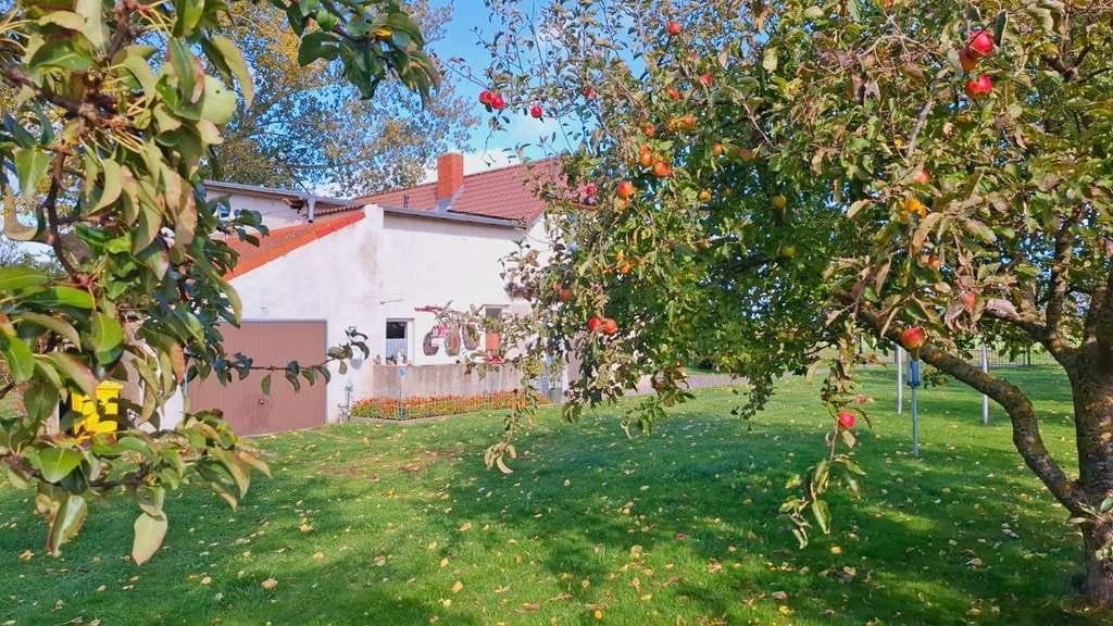 Immobilie in Kühlungsborn - Kühlungsborn Ost auf großzügigem Grundstück  - Bild 4
