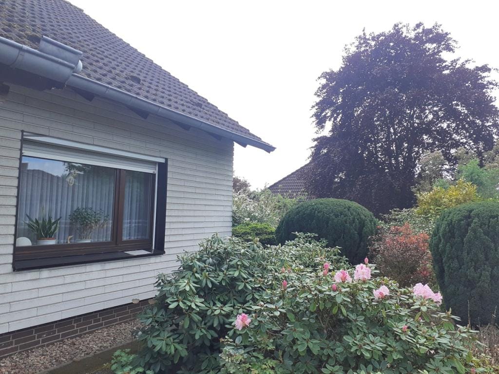 Immobilie in Hodenhagen - Haus in Hodenhagen - Bild 3
