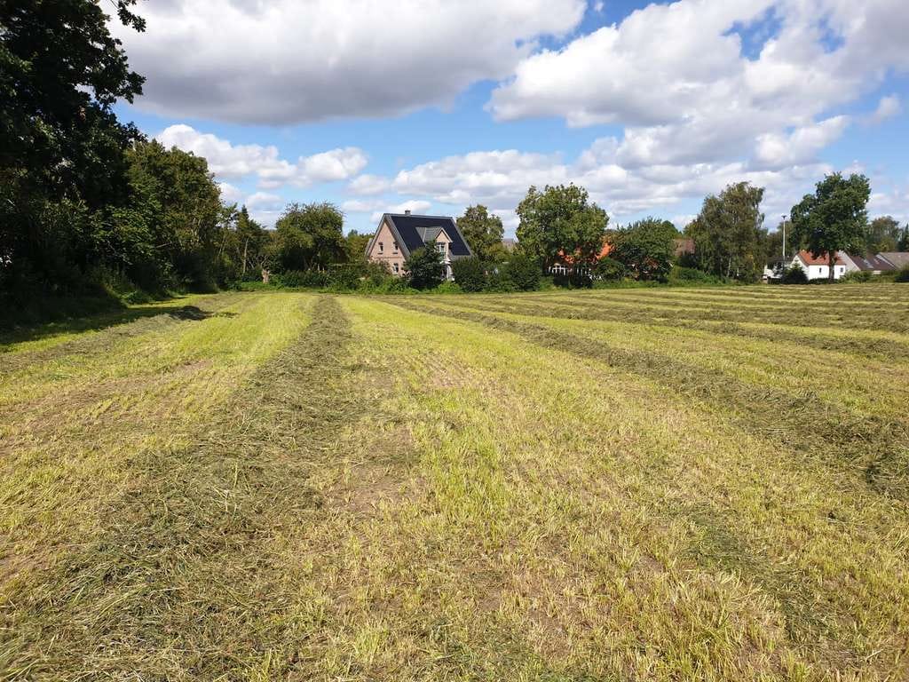 Immobilie in Langballig - Attraktives KFW 40 Scanhaus und Baugrundstückhinweis in Langballig und günstige KFW Kredite sichern - Bild 4