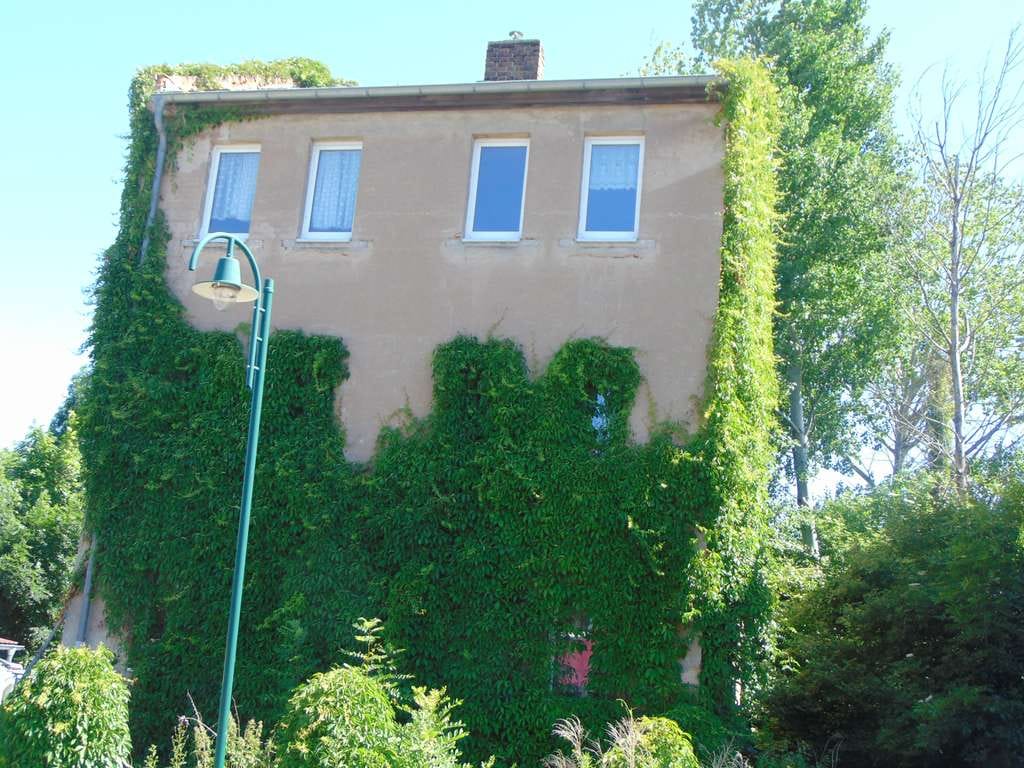 Immobilie in Meuselwitz - ***Ein ausbaufähiges 3- Familien Haus - Bild 1