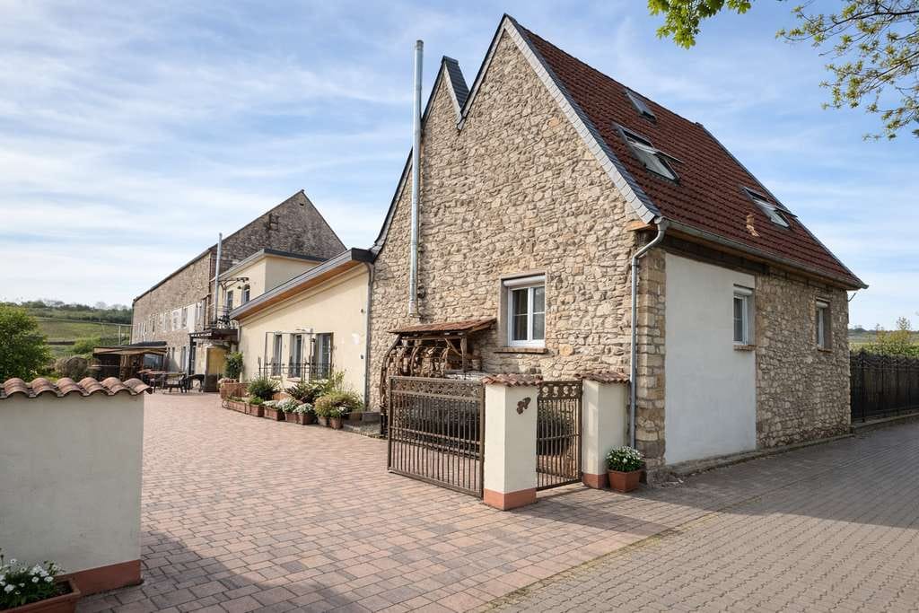 Immobilie in Gundersheim - Anwesen am Feldrand mit Weinbergblick, Einliegerwohnung, PV-Anlage und großem Entwicklungspotenzial - Bild 0