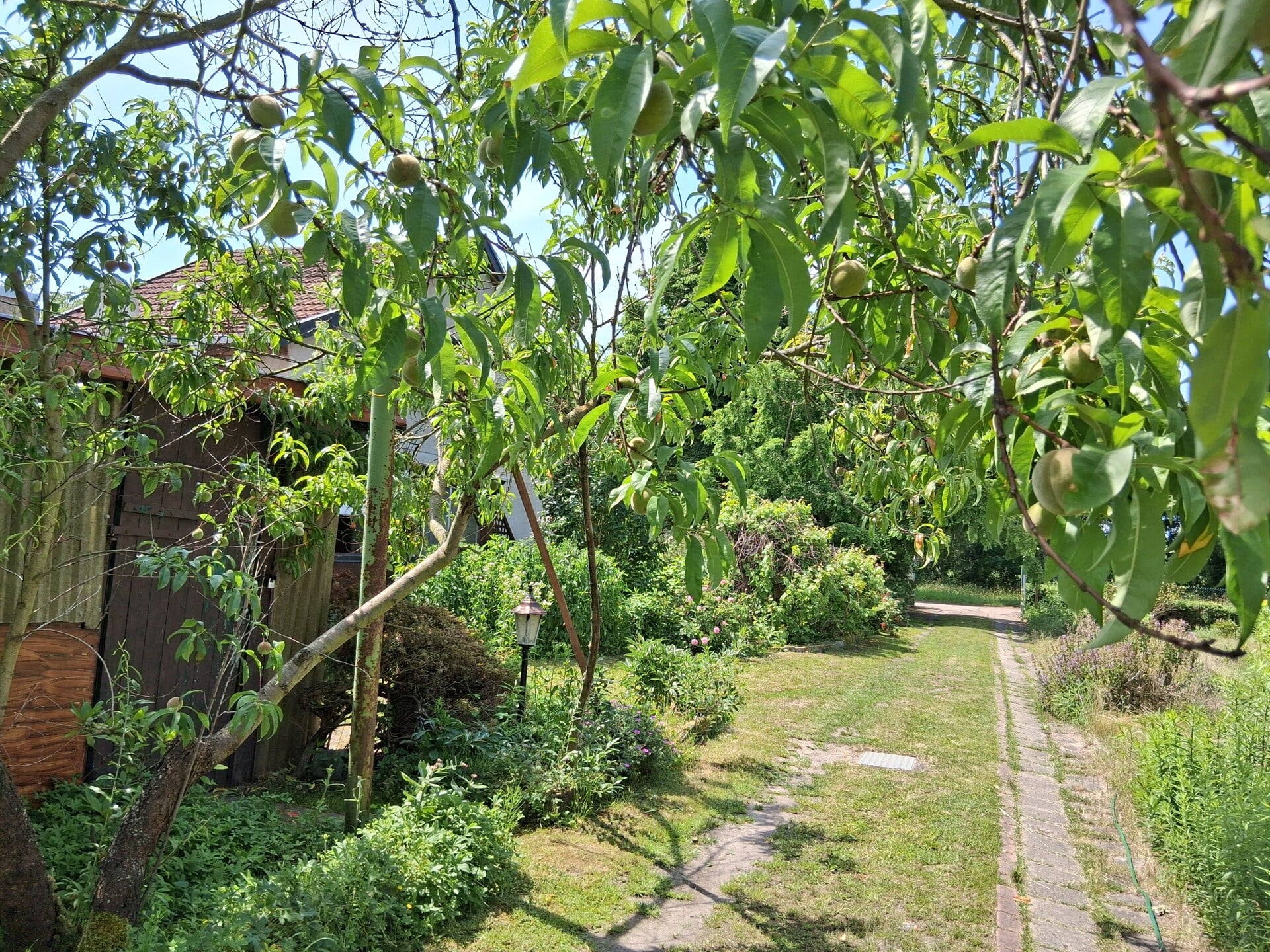 Immobilie in Stendal - Kleine Doppelhaushälfte - denkbar als Gartenhaus - Osten von Stendal - Refinanzierung denkbar - Bild 2