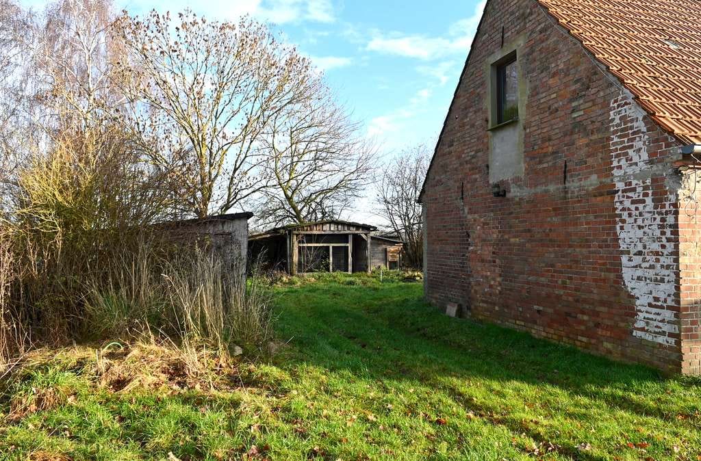 Immobilie in Sundhagen - Einfamilienhaus in Alleinlage in Groß Behnkenhagen - Bild 4