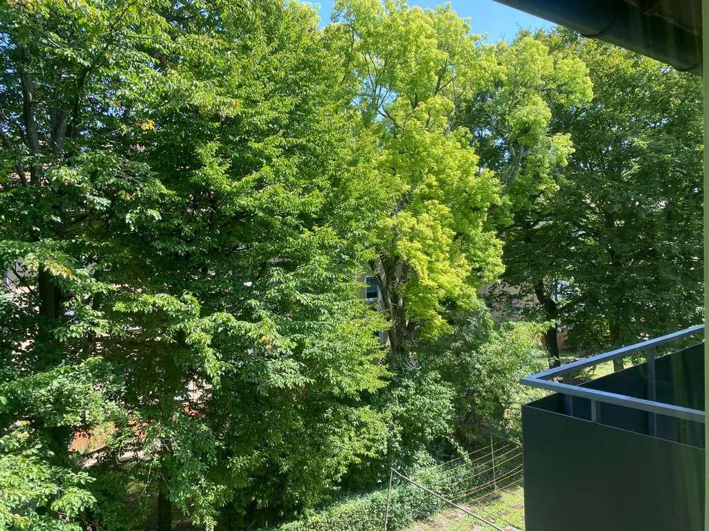 Immobilie in Ludwigsburg - Leerstehend. Balkon. Grünblick. Ludwigsburg. 5%. Mehr braucht eine Kapitalanlage manchmal nicht. - Bild 2