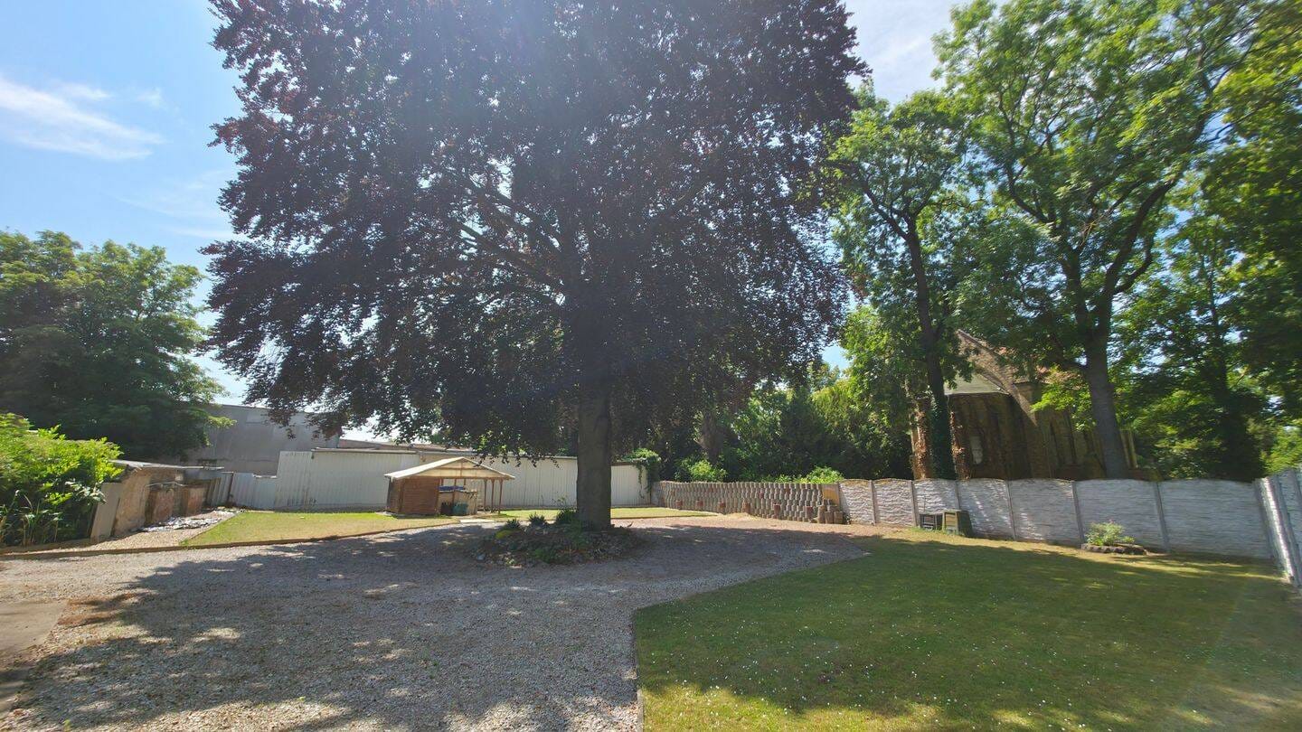 Immobilie in Güsten - Mehrgenerationenhaus mit großem Grundstück und Halle - Bild 1