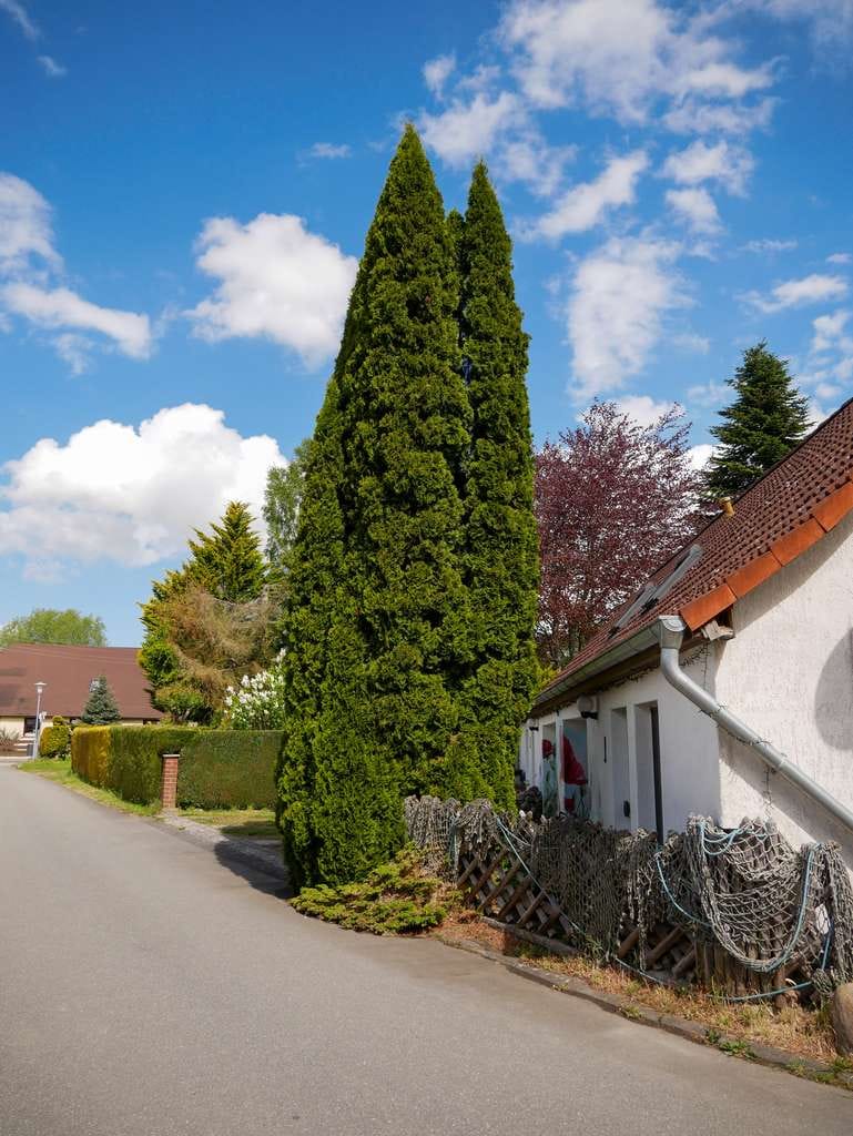 Immobilie in Dreschvitz - RÜGEN: Verkaufe Haus mit 145qm Grundfläche und ausgebautem Dachgeschoss - Bild 1