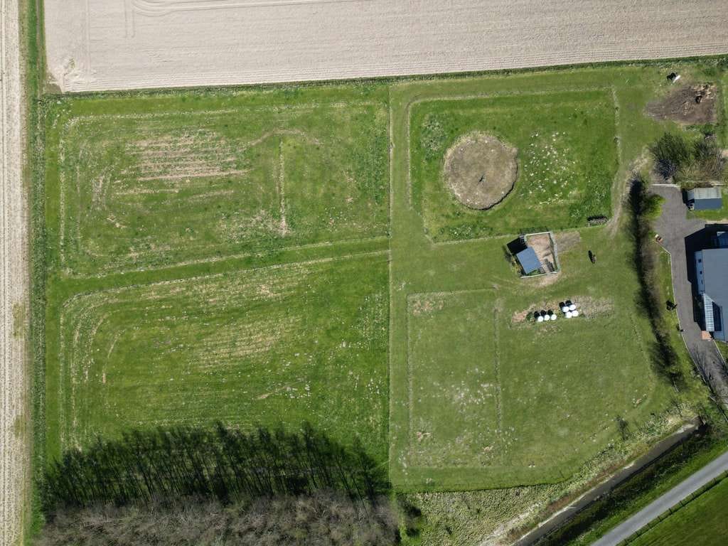 Immobilie in Kaiser-Wilhelm-Koog - Pferdeliebhaber aufgepasst! Traum Objekt am Elbdeich - Bild 3