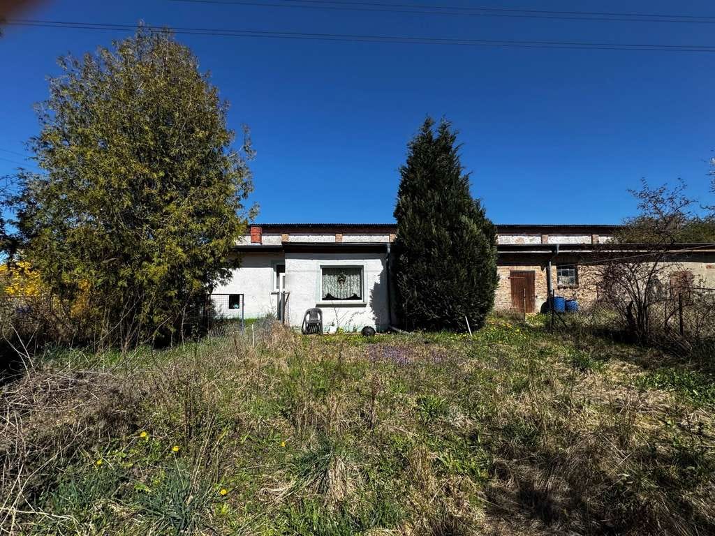 Immobilie in Warrenzin - Bungalow in der Nähe von Demmin - Bild 2