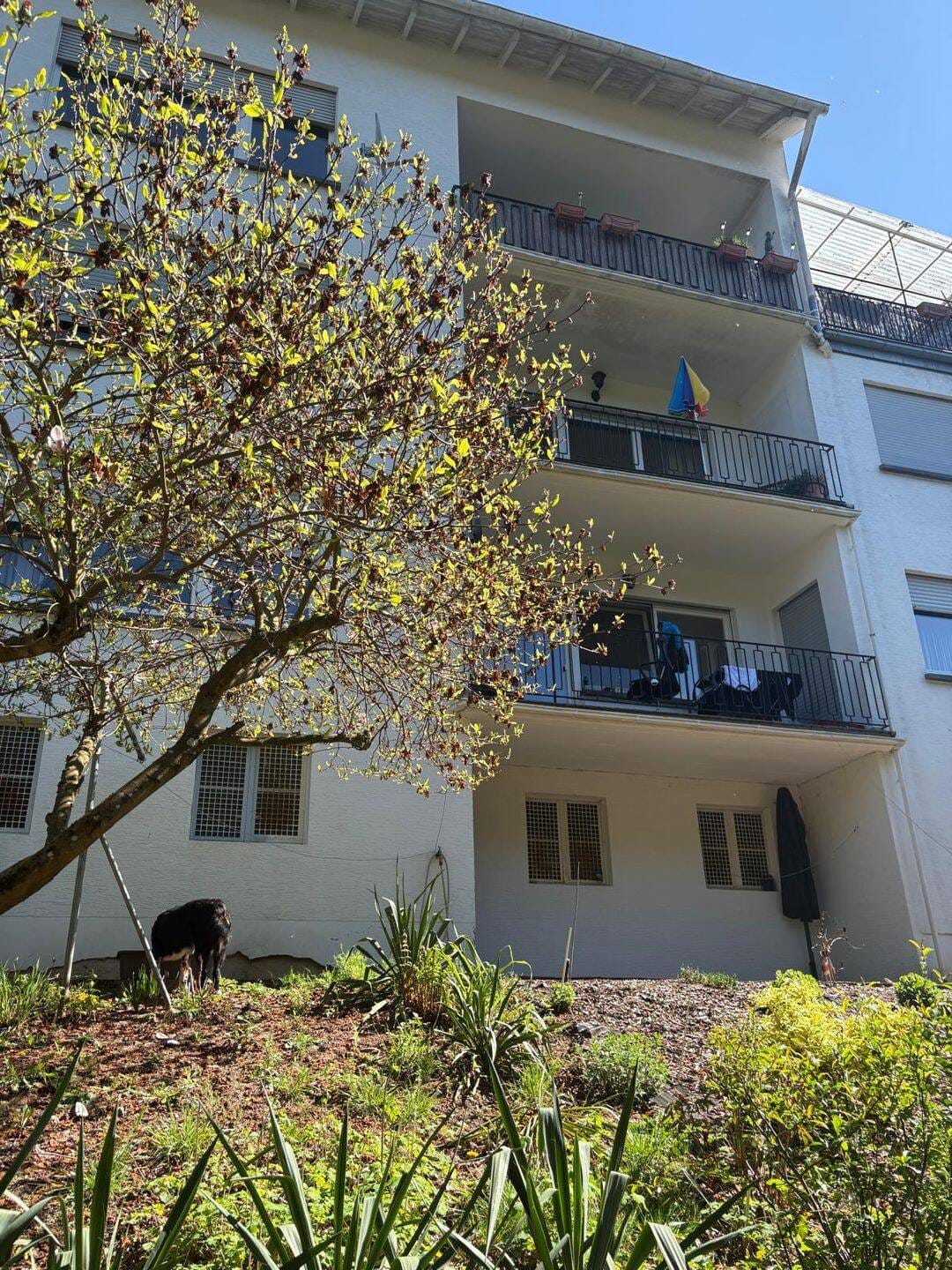 Immobilie in Rodalben - Kapitalanlage mit Perspektive - Gepflegtes 4-Familienhaus in bevorzugter Wohnlage - Bild 4