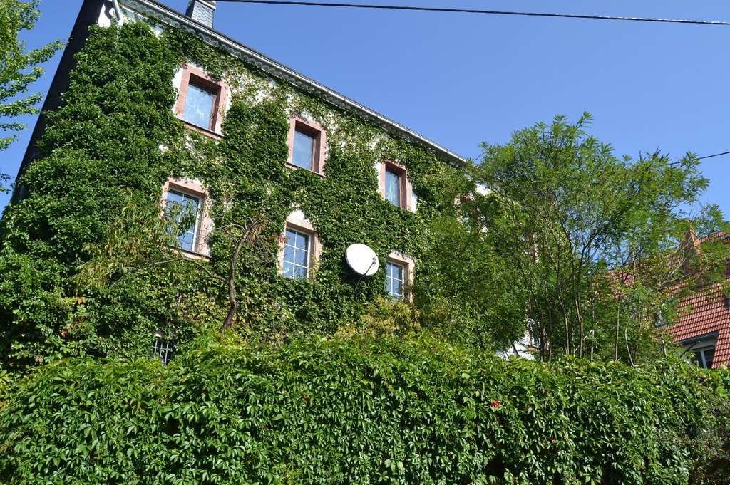 Immobilie in Wechselburg - Ehemaliger 4 Seiten-Bauernhof mit Glasfaseranschluss - Bild 0