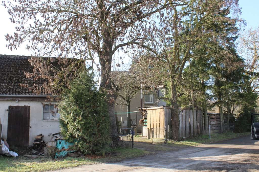 Immobilie in Spantekow - EFH in Dorfrandlage – vielseitige Nutzungsmöglichkeiten - Bild 3