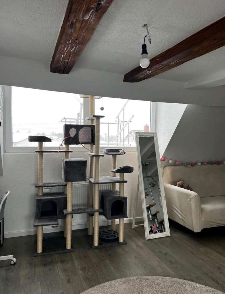 Immobilie in Tuningen - Klein, clever, entwicklungsfähig - Bild 3