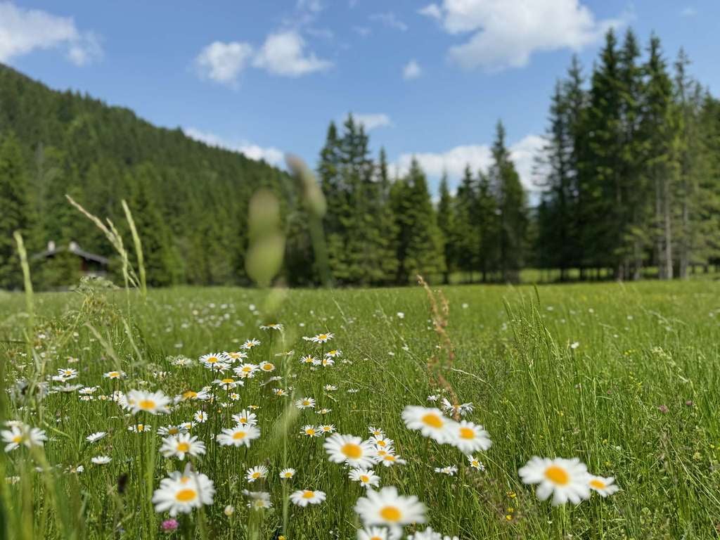 Immobilie in Rottach-Egern - Ruhe, Sonne, Privatsphäre – Baugrundstück in bester Lage von Rottach-Egern - Bild 3