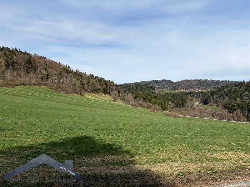 Immobilie in Innernzell - Bayer.Wald Nh. Schönberg Dreiseithof in herrlicher Höhenlage - Bild 1