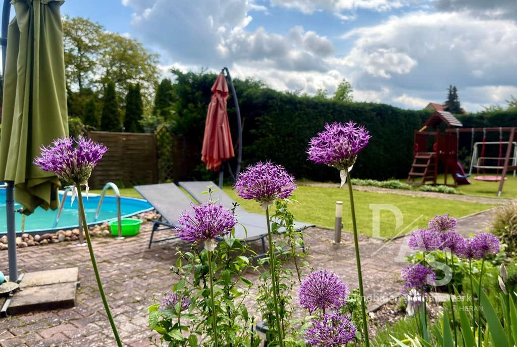 Immobilie in Alsleben - Familienidylle mit großem Garten, Pool & Doppelgarage in ruhiger Lage - Bild 3