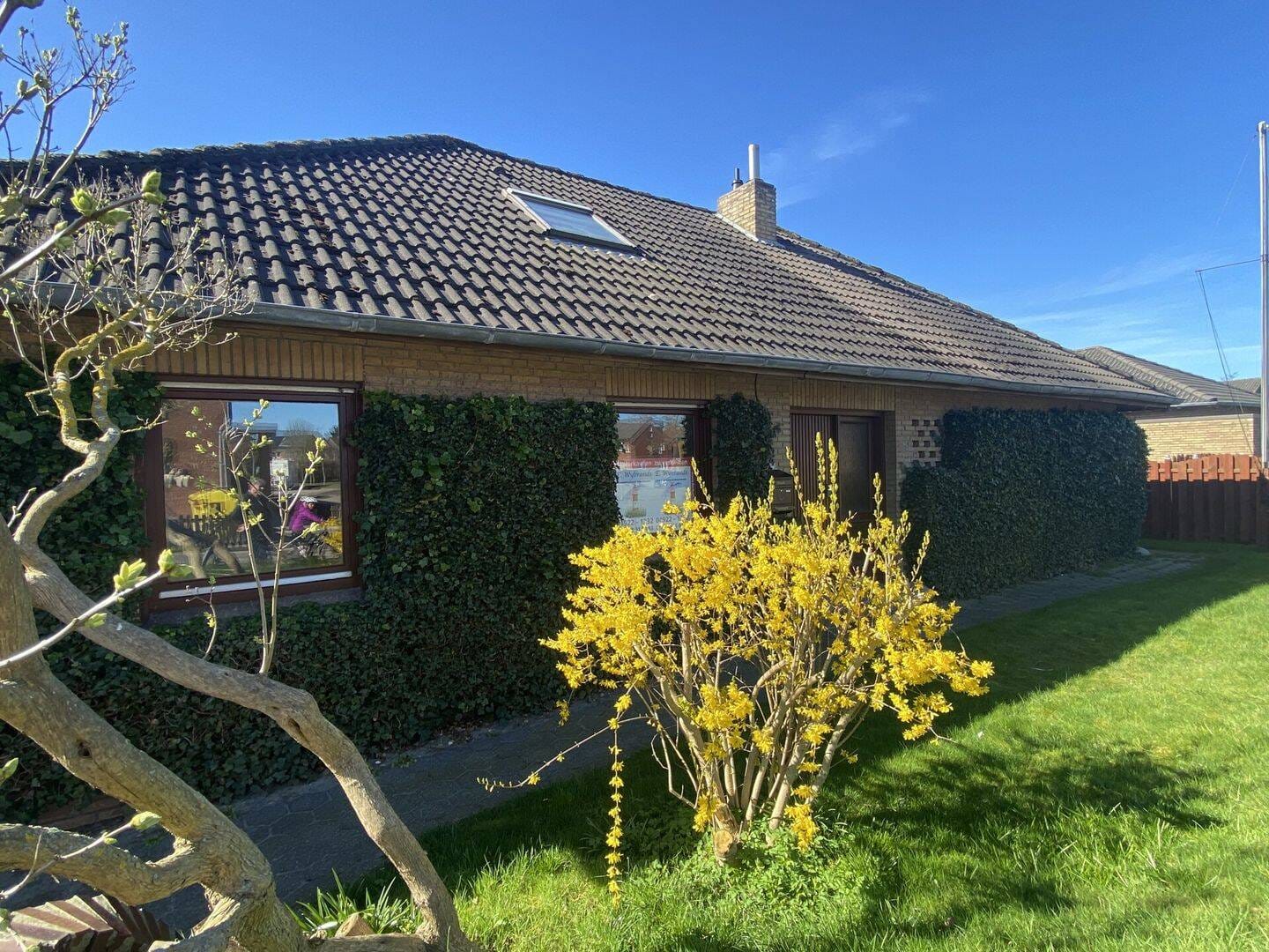 Immobilie in Borkum - Einfamilienhaus im Bungalowstil mit Einliegerwohnung auf großem Grundstück - Bild 3