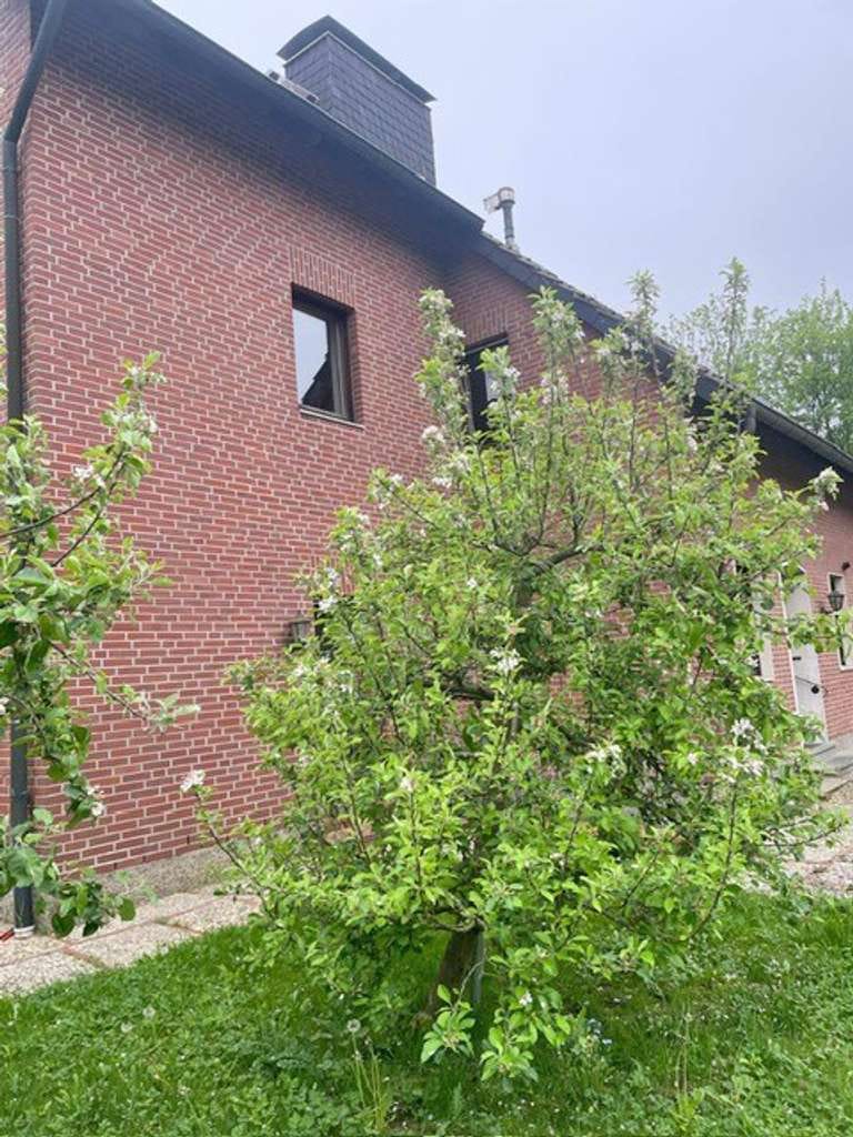 Immobilie in Titz - Gepflegtes freistehendes Einfamilienhaus mit ELW in 52445 Titz-Jackerath - Bild 4