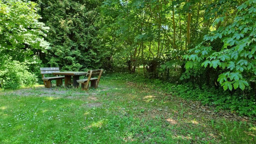 Immobilie in Bastorf - 1 Zimmer WE mit Blick in den Park - Bild 2