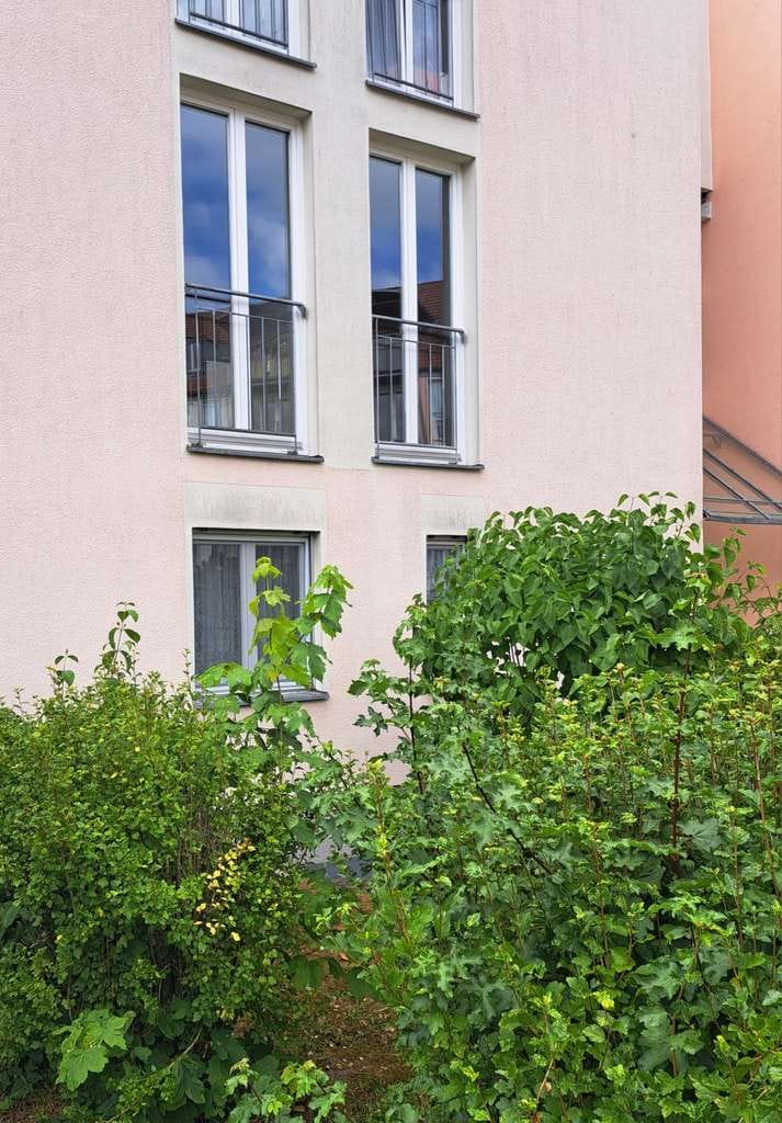 Immobilie in Velten - Schöne 2-Raumwohnung, kleiner Garten, TG-Stellplatz und solide Mieter! - Bild 4