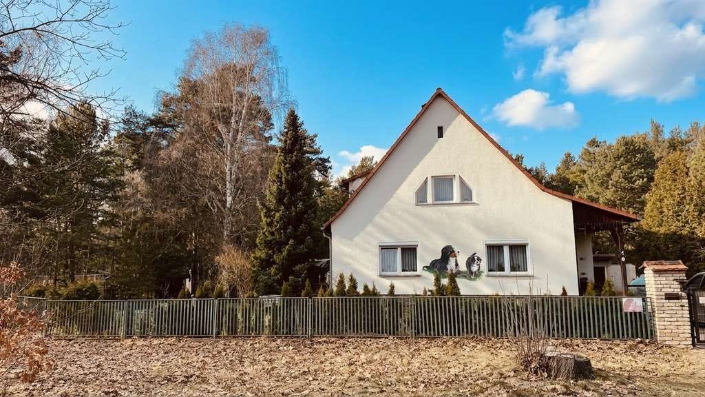 Immobilie in Borkheide - Gepflegtes Einfamilienhaus mit Nebengelass und Garage am Wald in Borkheide - Bild 1