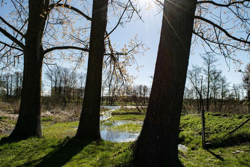 Immobilie in Stolpe auf Usedom - Usedom Seeblick: MFH zur Eigennutzung, Fest- und Ferienvermietung - Bild 2