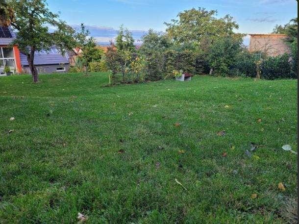 Immobilie in Elxleben - Ihr Familienhaus mit Freiraum in Witterda - komfortabel und idyllisch - Bild 0