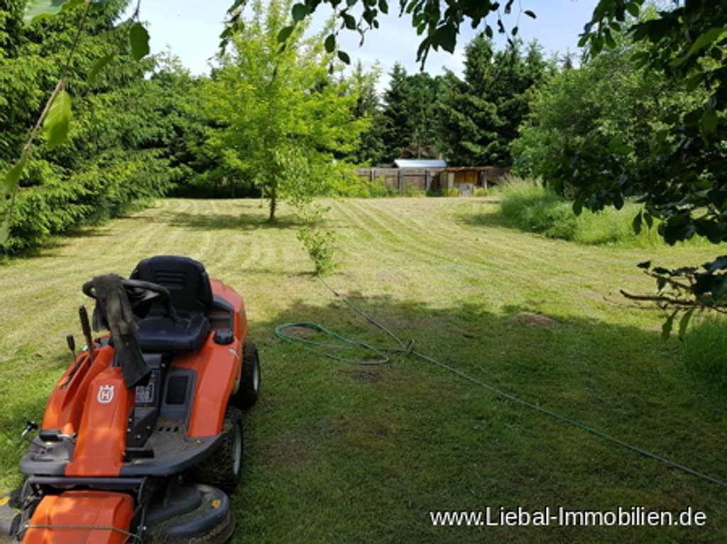 Immobilie in Eldetal - Traumhafte Randlage, die Müritz gut erreichbar !!! - Bild 2