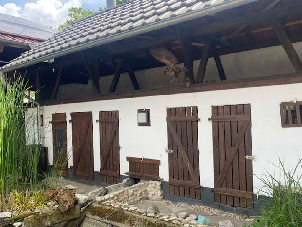 Immobilie in Schwanau - Historisches Bauernhaus von 1818 mit Scheune - viel Potenzial für Liebhaber - Bild 2