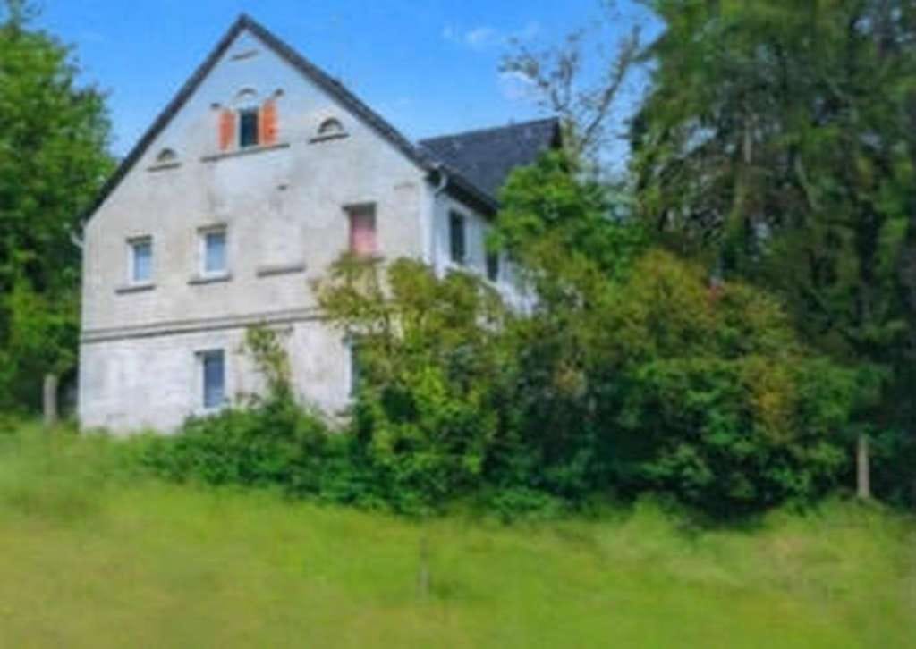 Immobilie in Meerane - Kapitalanlage – entkerntes Einfamilienhaus für eigene Fantasie in Meerane - Bild 1