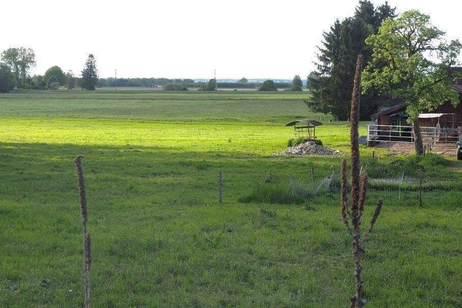 Immobilie in Übersee - Rarität - genehmigter r Landsitz im Naturschutz - Gebiet mit Rohbau 400m Wfl. am Chiemeee - Bild 4