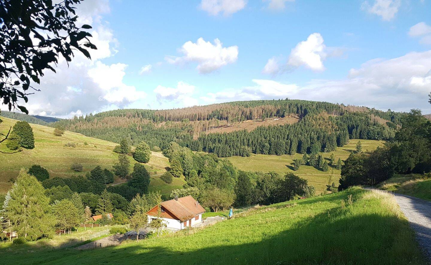 Immobilie in Schleusegrund - 1 x-ige GelegenHEIT ! MEGA WochenendHAUS - HOMEofficePLACE - grandiose Lage im Thüringer Wald - Ausblick + RUHE + Naturidyll zu jeder Jahreszeit - Bild 1