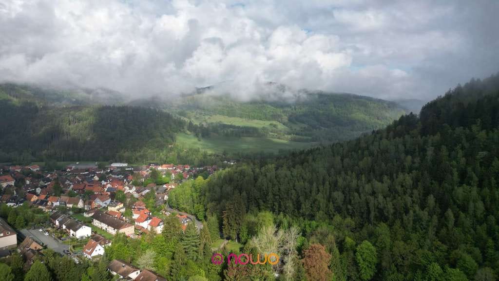Immobilie in Langelsheim - Mehrfamilienhaus in idyllischer Harzlage – 3 Einheiten, Hanggrundstück & attraktive Perspektiven - Bild 2