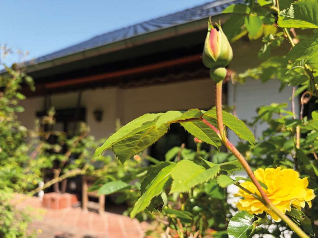 Immobilie in Bad Segeberg - Ein Familienhaus mit Raum für Veränderungen und Aussicht! - Bild 4