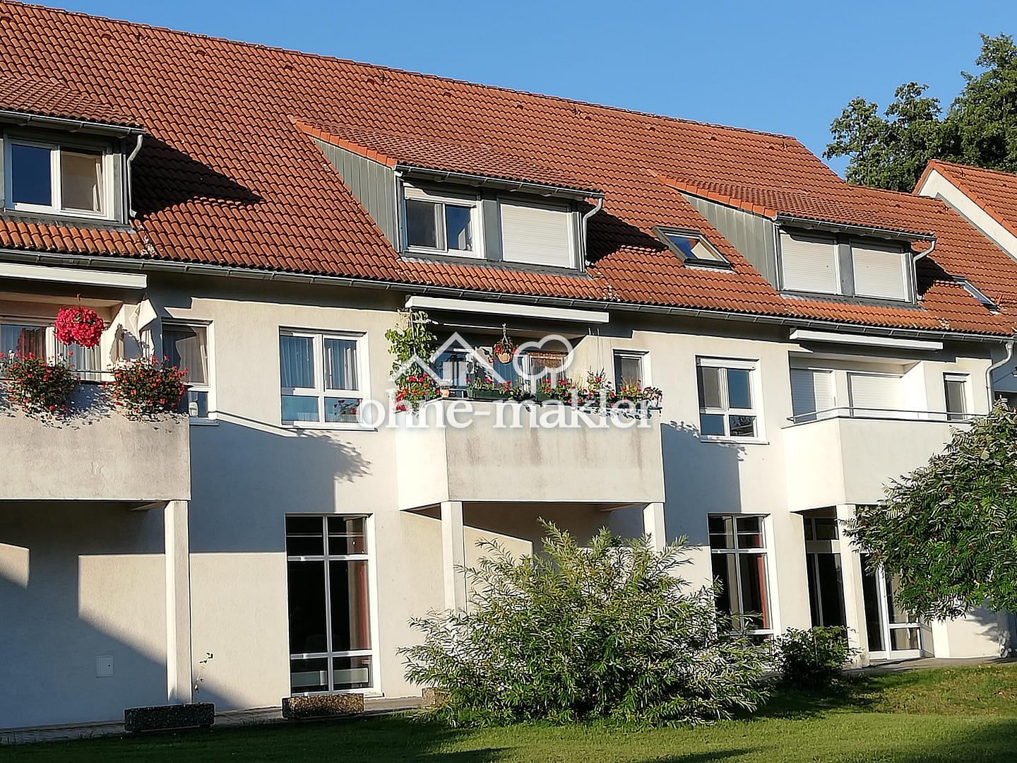 Immobilie in Zittau - Wohnung im Grünen - Bild 3