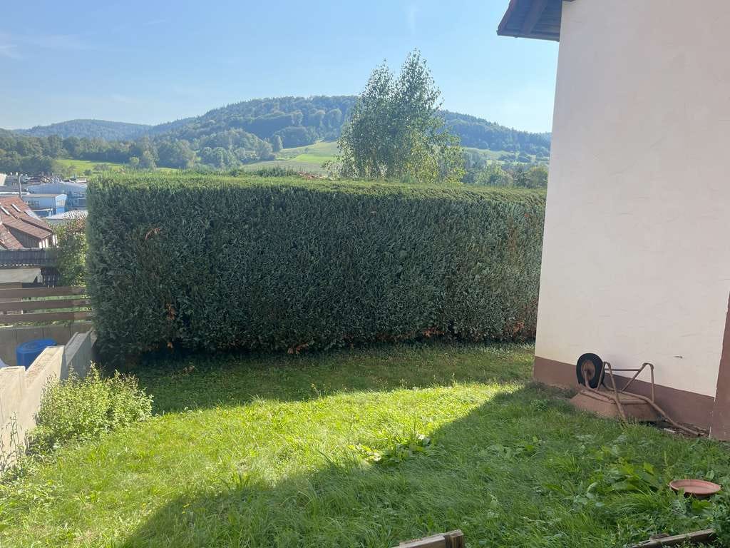 Immobilie in Laufach - Naturverbunden Wohnen, Souterrainwohnung in Laufach - Bild 4