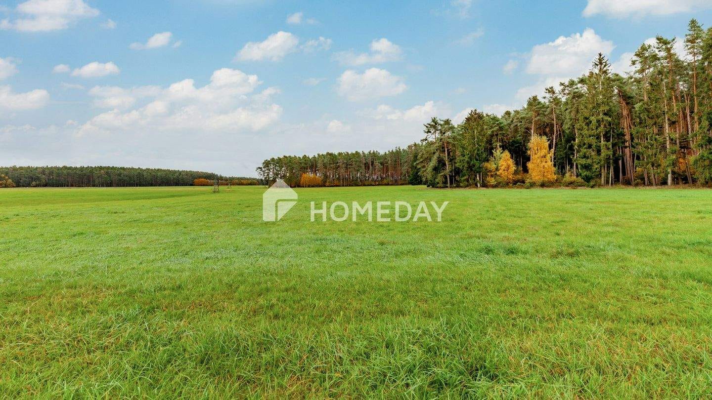 Immobilie in Abenberg - 8,79 ha: Großflächiges Areal für Landwirtschaft, Forst und Neugestaltung - Bild 0