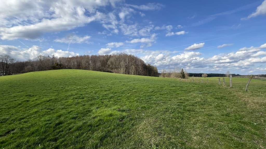 Immobilie in Starnberg - *** LANDLIEBE - IHR Zuhause für die ZUKUNFT ***
 Naturnah Wohnen zwischen München und Starnberg - Bild 1