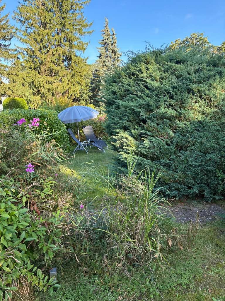 Immobilie in Dahmen - Ein Zuhause für Genießer von Ruhe und Natur - Bild 3