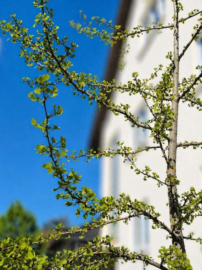 Immobilie in Eppertshausen - ***WO DAS GLÜCK ZUHAUSE IST - DER GINKGO HEISST SIE SCHONMAL HERZLICH WILLKOMMEN !*** - Bild 0