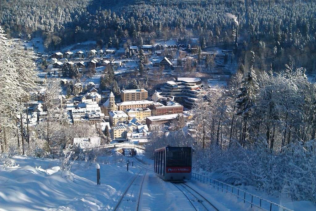 Immobilie in Bad Wildbad - Mehrfamilienhaus mit 4x2-Zimmer Whg, 8% jährliche Rendite, 8 Zim, 6 Bad - Bild 1