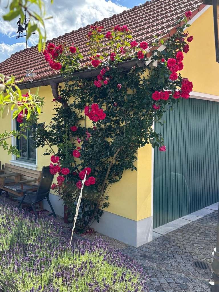 Immobilie in Gachenbach - Unikat der Handwerkskunst: Energetisch autarker Einfirsthof für Ästheten & Sammler - Bild 4