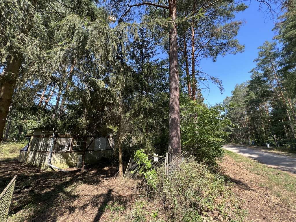 Immobilie in Borkheide - Waldgrundstück mit Bestandsgebäude in Borkheide 799 m² Nähe Berlin - Bild 4
