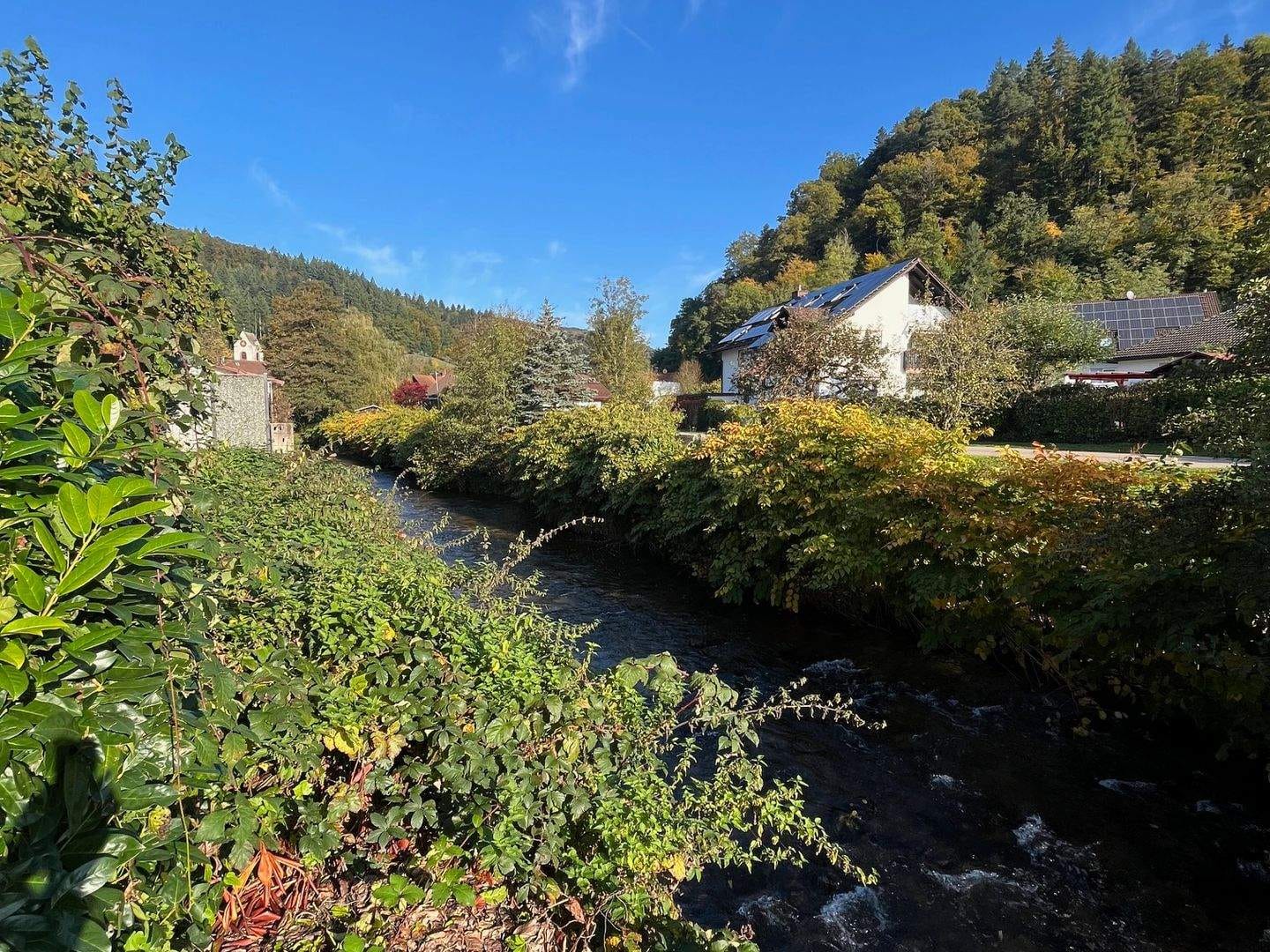 Immobilie in Kleines Wiesental - Gepflegtes Idyll direkt am Dorfbach: Drei-Familien-Haus in Wieslet - Bild 4