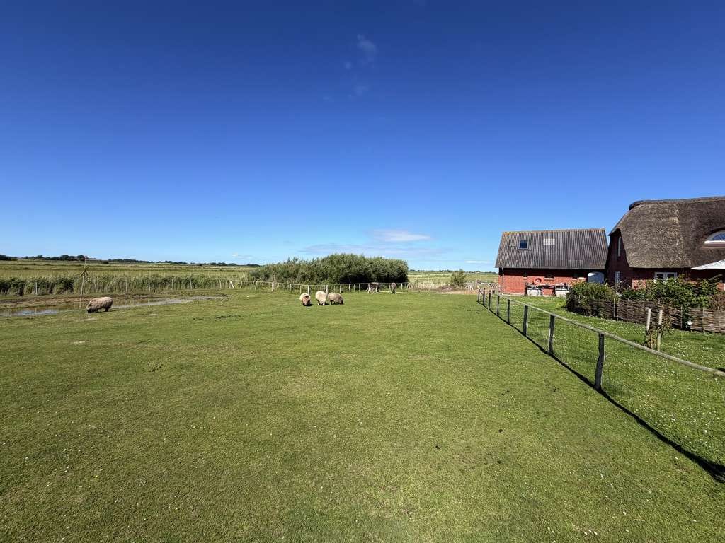 Immobilie in Pellworm - Saniertes Friesenhaus mit Nebengebäude  - Idyllische Einzellage in erster Reihe zum Meer - - Bild 3