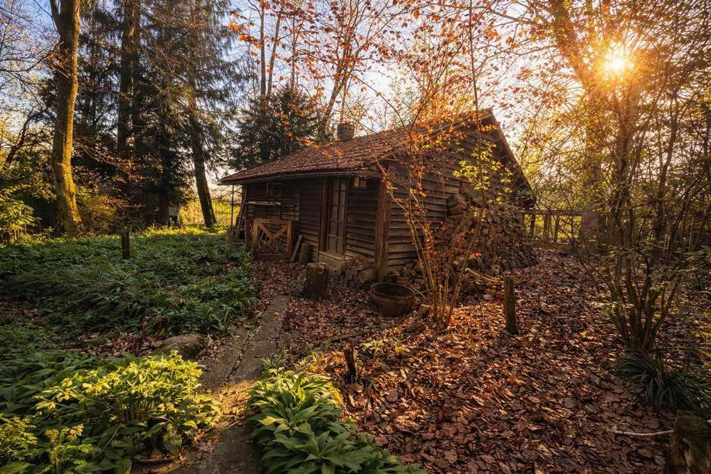 Immobilie in Bergkirchen - Verstecktes Juwel im Grünen - mit Liebe zum Traumhaus gestalten - Bild 1