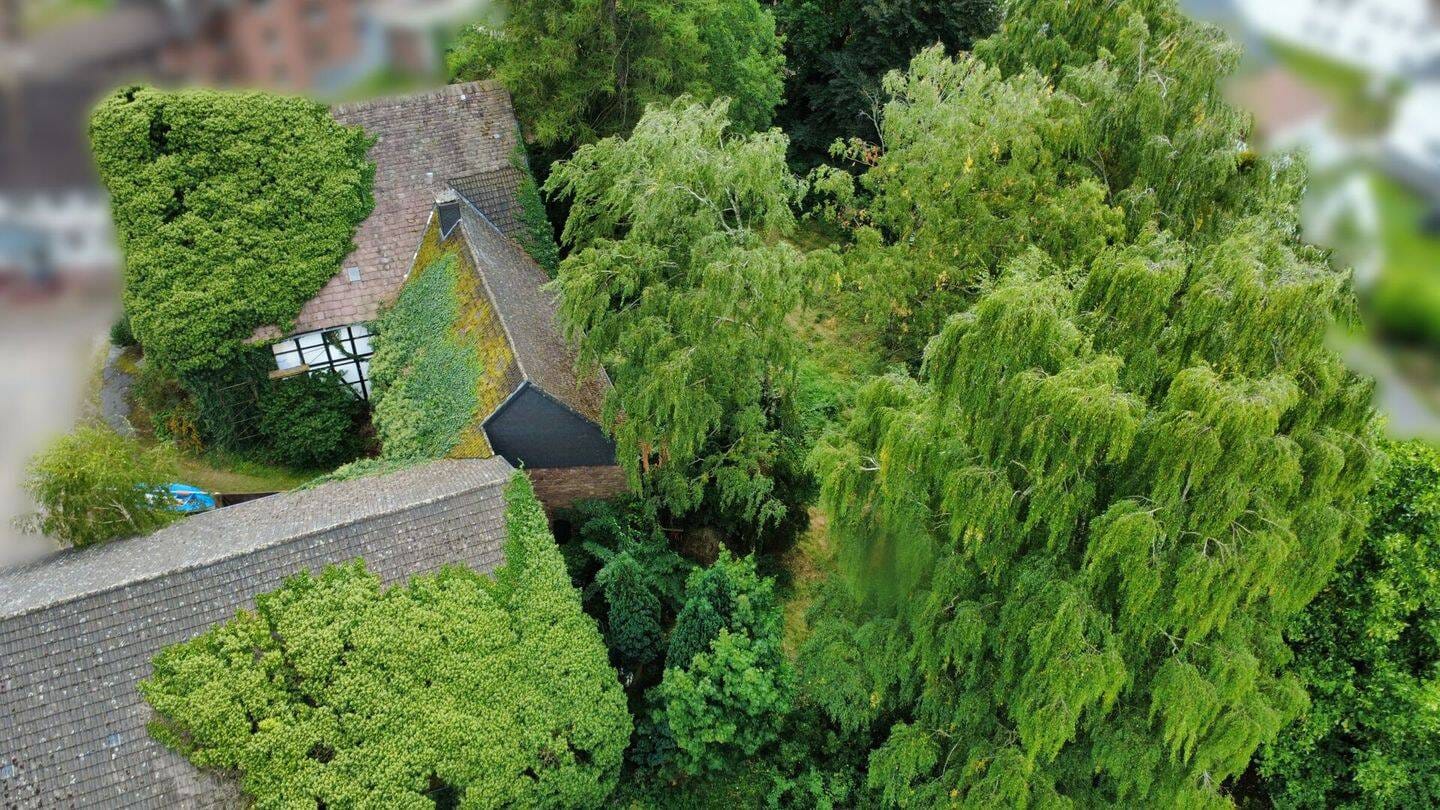 Immobilie in Lauenförde - Historischer Resthof mit viel Potenzial und parkähnlichem Garten in Lauenförde - Bild 4